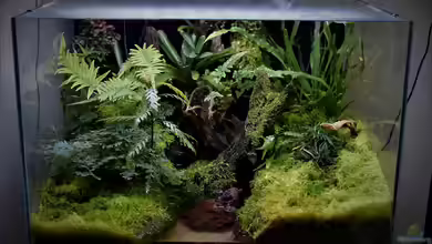 Vampirhausen... Verkauft von Junglist