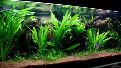 Villa Kunterbunt von Sue