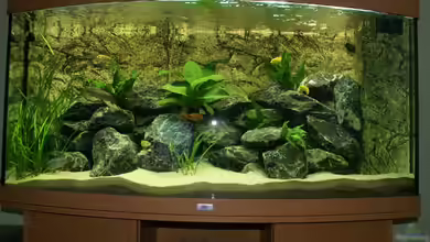 Vision 260 Malawi von Onno83