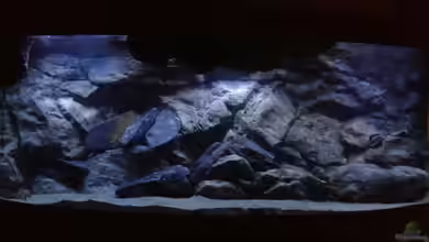 Vision Malawi (Nur noch Beispiel) von Tobias Sch.