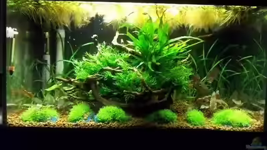 Vred´s Zuhause (Außer Betrieb) von Zebraschneggla