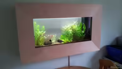 Wandaquarium von The BugZ