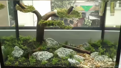 Wandern in den Bergen von Blubberblubs