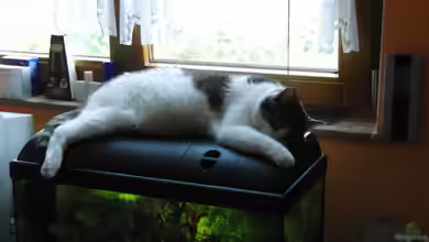 Waterhome von Oberregenwurm