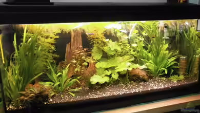 Wilder Mix...aber mir gefällts von Jukey