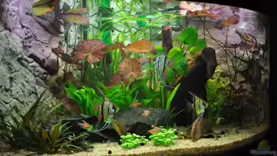 Woha Meta von jmvitt