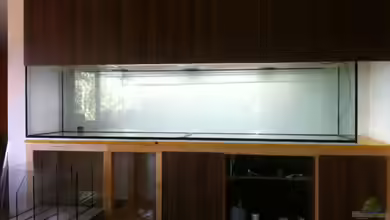 Wohnzimmer Schaubecken von maxarl