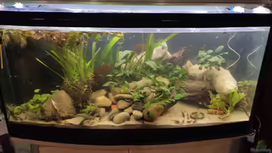 Wohnzimmer Vers. 2 von SoSi