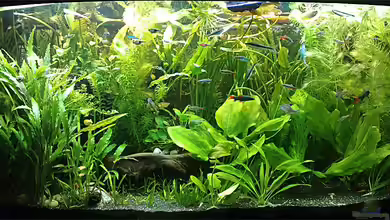 Wohnzimmer von Welslau