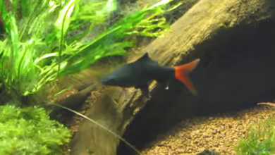 Wohnzimmer von Christian Grunwald