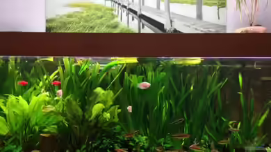 Wohnzimmerbecken von FAT