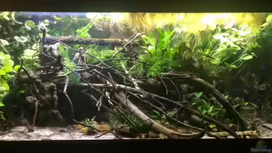 Wohnzimmerglück - NUR NOCH BEISPIEL von NaMo