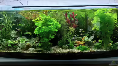 Wohnzimmeroase bis 04/2025 von ErfurtOldy