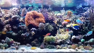 Wohnzimmerriff von MartinS