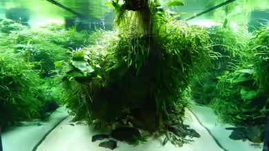 Wohnzimmerteiler von Merotheq