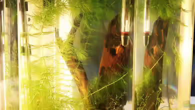 Yellow Fire Neon von Mona6464