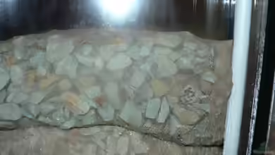 Zeolith im Aquarium