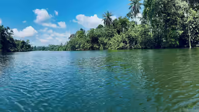 Zierfische aus Kamerun - Artenvielfalt, Haltung und Besonderheiten