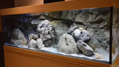 Zizou's Malawi Cave von Malawi-Zizou