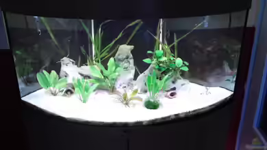 zukünftiges Diskusbecken von mirko1411