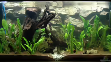 Zur feuchten Flosse von marciii1985