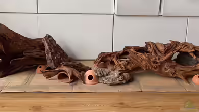 Zwergenland ;-) - in progress von Princess Nala