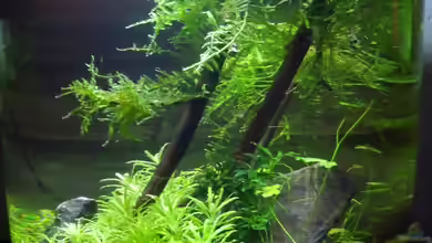 Zylindervase von Katja H