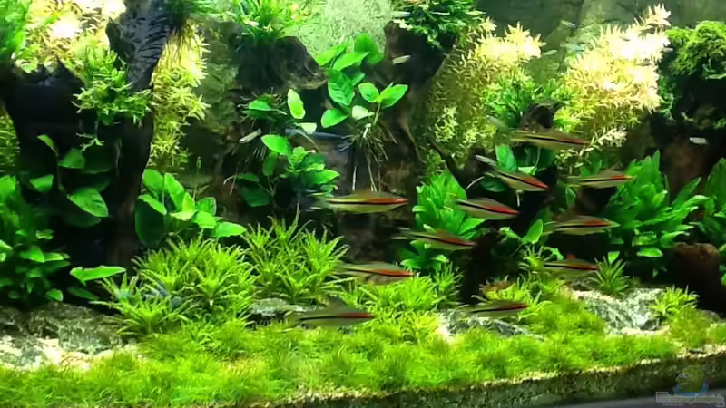 .... In Progress ... .... In Progress ...