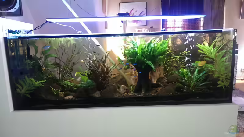 ...Raumteilung mal anders. ...Raumteilung mal anders.