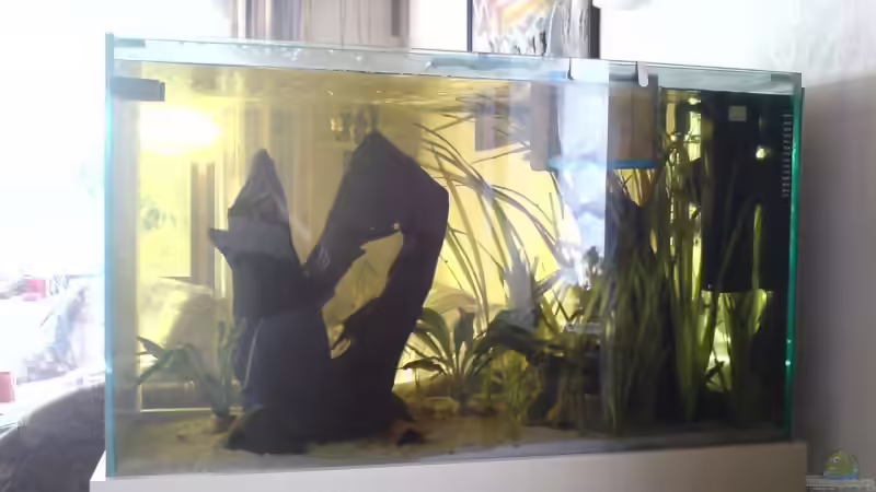 ..mein Welsbecken ..mein Welsbecken