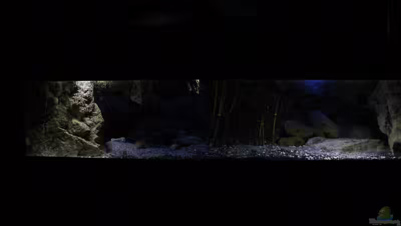 ..tales from the lake..November 2013 ..tales from the lake..November 2013