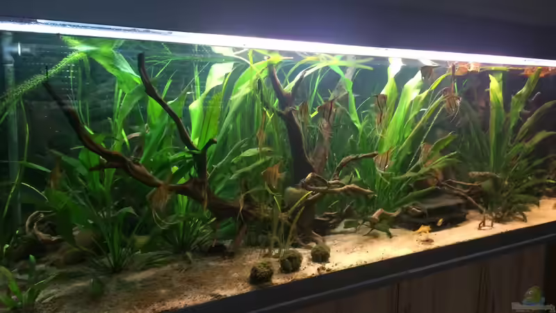 Angels Place ... Angels Place ...