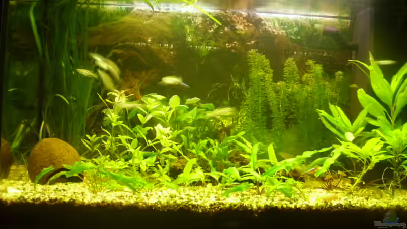 Aufgenommen 21.02.2008 Aufgenommen 21.02.2008