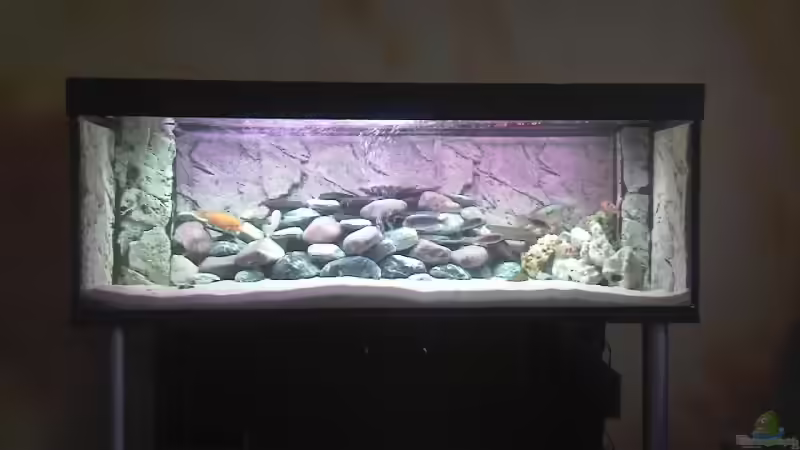 Fertige Becken Fertige Becken