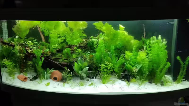 Hauptansicht vom Juwel Vision 450 Hauptansicht vom Juwel Vision 450