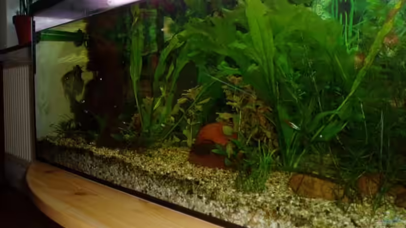 -mein Becken ins Gesamt... -mein Becken ins Gesamt...