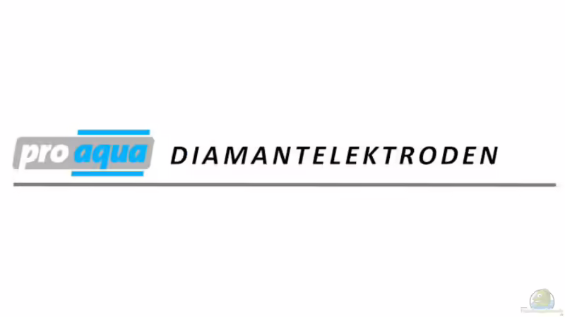 Testen & algenfrei werden!