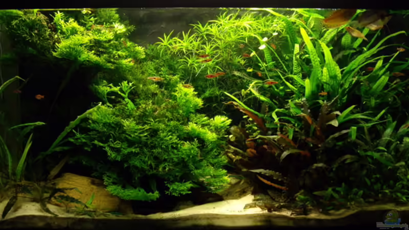 01.01.2010 01.01.2010