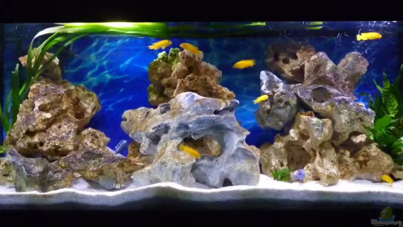 01.02.2011 01.02.2011