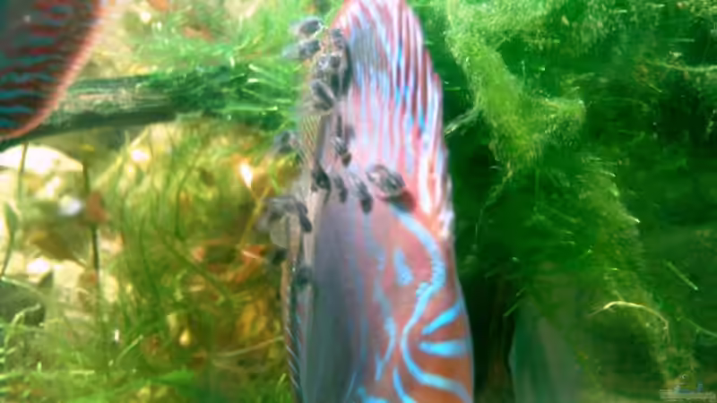 01.05.2008 01.05.2008