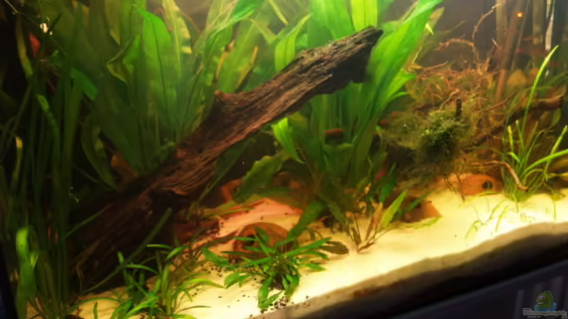 01.05.2009 01.05.2009