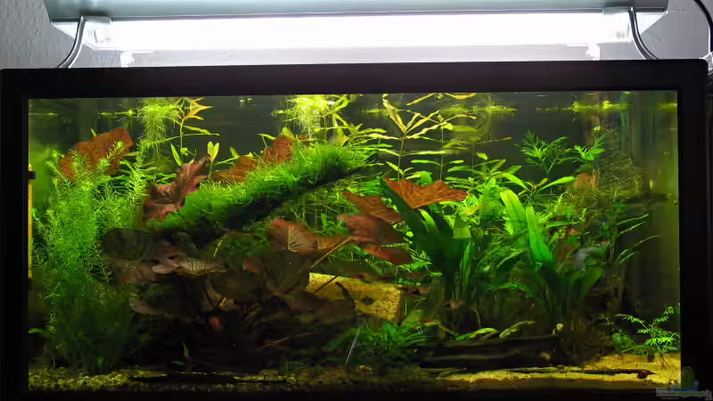 01.11.2008 01.11.2008