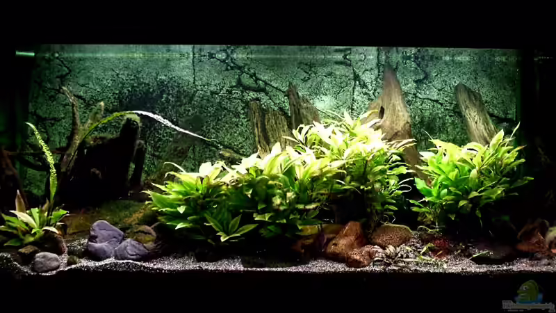 02.01.2013 02.01.2013