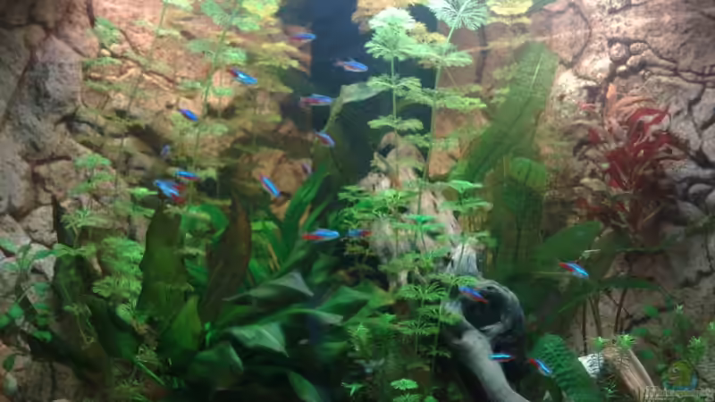 02.03.2009 02.03.2009