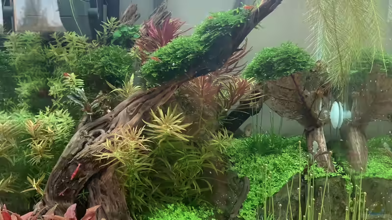 02.03.2021 02.03.2021