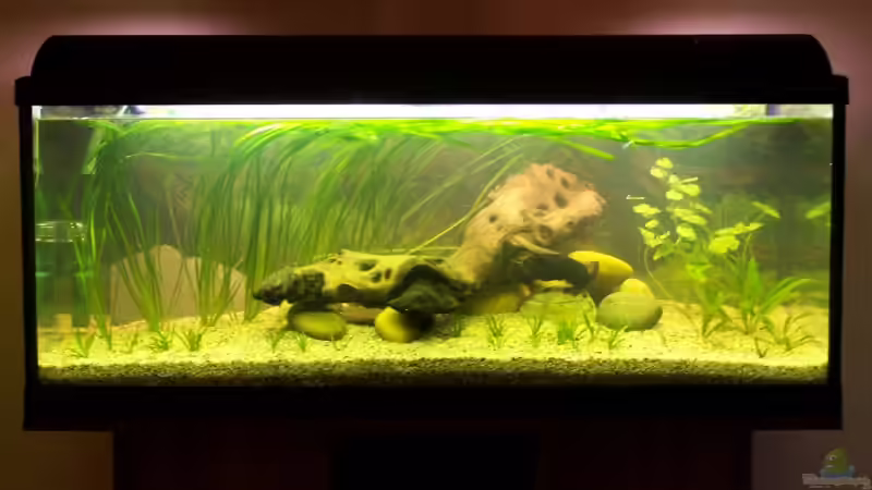 02.04.2007 - Direkt nach der Neueinrichtung 02.04.2007 - Direkt nach der Neueinrichtung