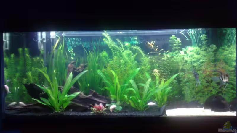 02.04.2008 02.04.2008