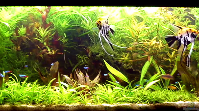 02.08.2010 02.08.2010