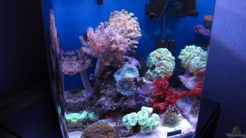 02.10.2011 02.10.2011