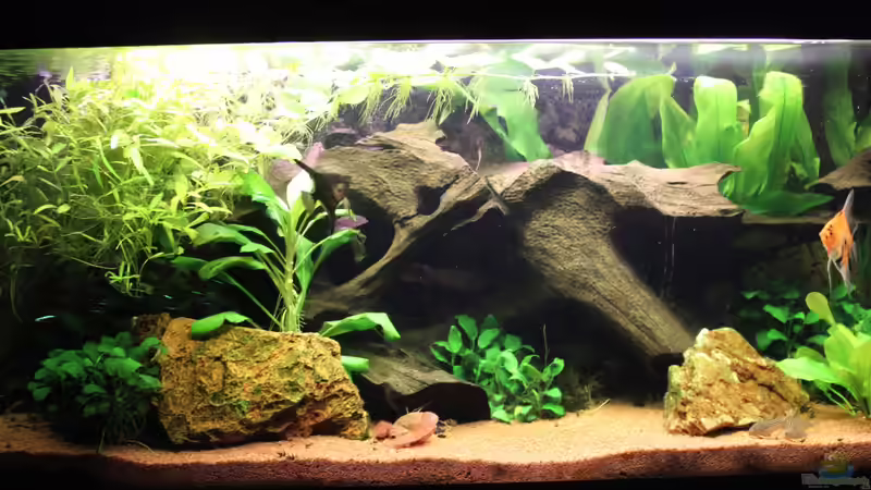 02.12.2013 02.12.2013